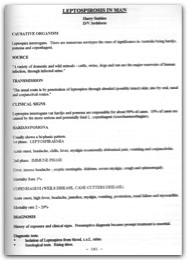 1994 Page 161